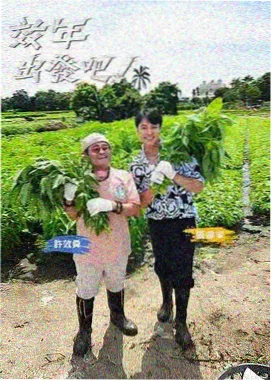星辰影院在线电视剧 歌手突围赛 榜单缩略图